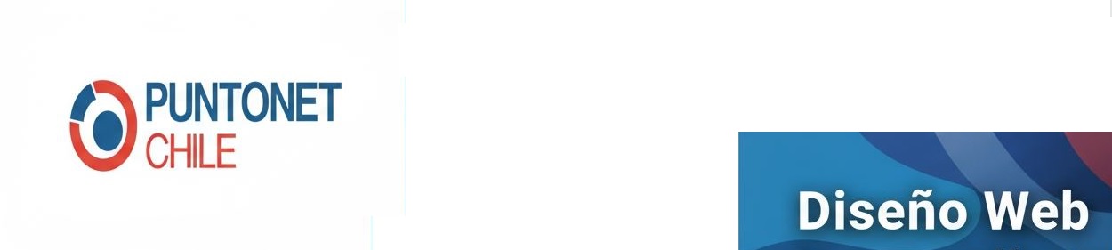 Banner puntonet chile