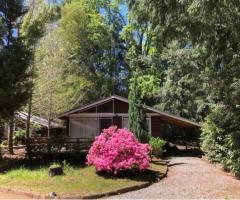 Cabañas Loncotraro Pucon